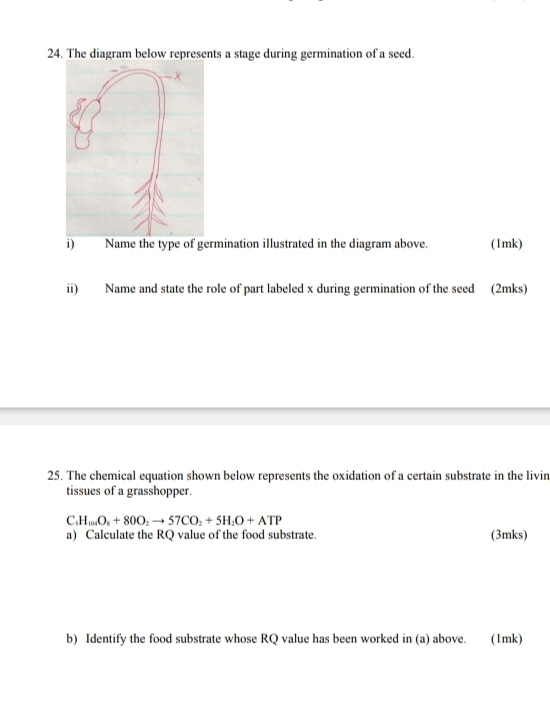 The diagram below represents a stage during germination of a seed. 
i) Name the type of germination illustrated in the diagram above. (1mk) 
ii) Name and state the role of part labeled x during germination of the seed (2mks) 
25. The chemical equation shown below represents the oxidation of a certain substrate in the livin 
tissues of a grasshopper.
C_5H_104O_8+80O_2to 57CO_2+5H_2O+ATP
a) Calculate the RQ value of the food substrate. (3mks) 
b) Identify the food substrate whose RQ value has been worked in (a) above. (1mk)