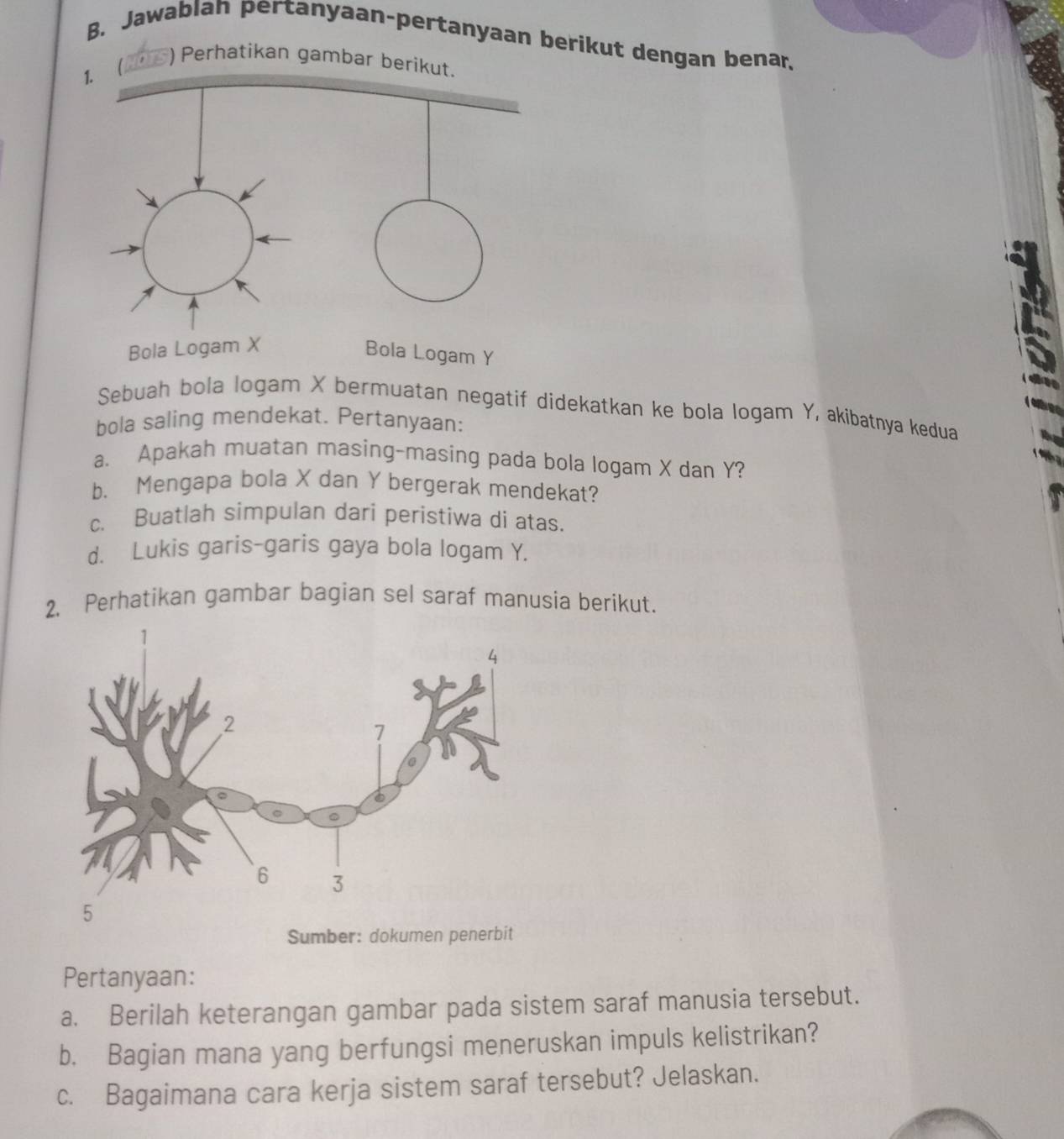 Jawablan pertanyaan-pertanyaan berikut dengan benar, 
) Perhatikan gambar beri 
Sebuah bola logam X bermuatan negatif didekatkan ke bola logam Y, akibatnya kedua 
bola saling mendekat. Pertanyaan: 
a. Apakah muatan masing-masing pada bola logam X dan Y? 
b. Mengapa bola X dan Y bergerak mendekat? 
c. Buatlah simpulan dari peristiwa di atas. 
d. Lukis garis-garis gaya bola logam Y. 
2. Perhatikan gambar bagian sel saraf manusia berikut. 
Sumber: dokumen penerbit 
Pertanyaan: 
a. Berilah keterangan gambar pada sistem saraf manusia tersebut. 
b. Bagian mana yang berfungsi meneruskan impuls kelistrikan? 
c. Bagaimana cara kerja sistem saraf tersebut? Jelaskan.