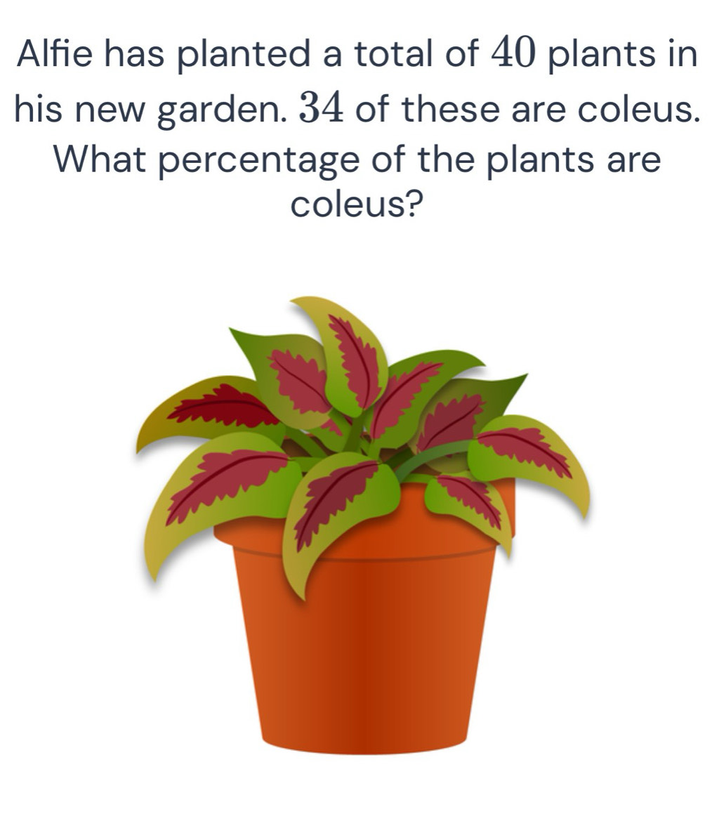 Alfie has planted a total of 40 plants in 
his new garden. 34 of these are coleus. 
What percentage of the plants are 
coleus?