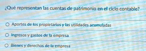 ¿Qué representan las cuentas de patrimonio en el ciclo contable?
Aportes de los propietarios y las utilidades acumuladas
Ingresos y gastos de la empresa
Bienes y derechos de la empresa