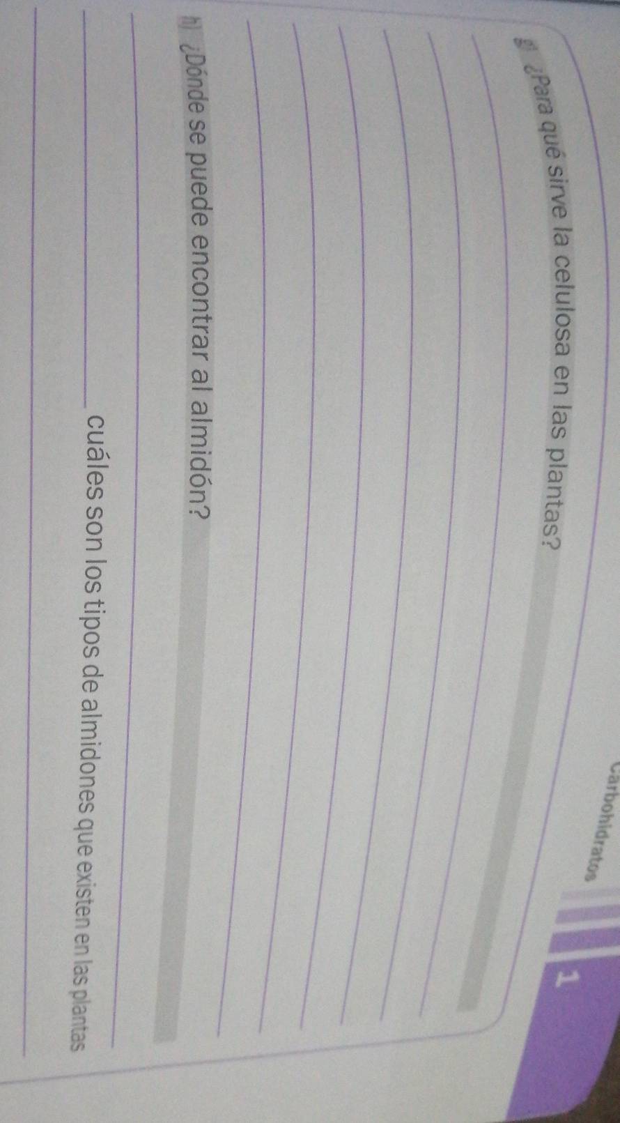 Carbohidratos 
¿Para qué sirve la celulosa en las plantas? 
1 
_ 
_ 
_ 
_ 
_ 
_ 
h¿Dónde se puede encontrar al almidón? 
_ 
_cuáles son los tipos de almidones que existen en las plantas 
_