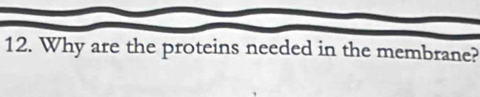 Why are the proteins needed in the membrane?