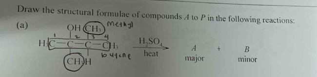 Draw the structural formulae of compounds A to P in the following reactions: 
(a) QH CH_3
H C c- c đn H_2SO_4
A □  + B 
heat major minor
CH_3 H