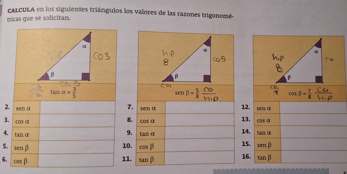 cALCULA en los siguientes triángulos los valores de las razones trigonomé-
tricas que se solicitan.
tan alpha = 3/5 
sen beta = 5/8 ·
cos beta = 7/8 
7.
2. sen alpha senalpha 12. senalpha
8.
3. cos alpha cos alpha 13. cos alpha
9.
4. tan alpha tan alpha 14. tan alpha
5. sen beta cos beta 15. sen beta
10.
16.
11. tan beta
6. cos beta tan beta