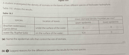 Figuré 19,4
A student investigated the density of stomata on the leaves of two different species of freshwater hydrophyte.
Table 19.1 shows the results.
Table 19.1
(a) Name the epidermal cells that control the size of stomata
_[1]
_
(b) ● Suggest reasons for the difference between the results for the two species._