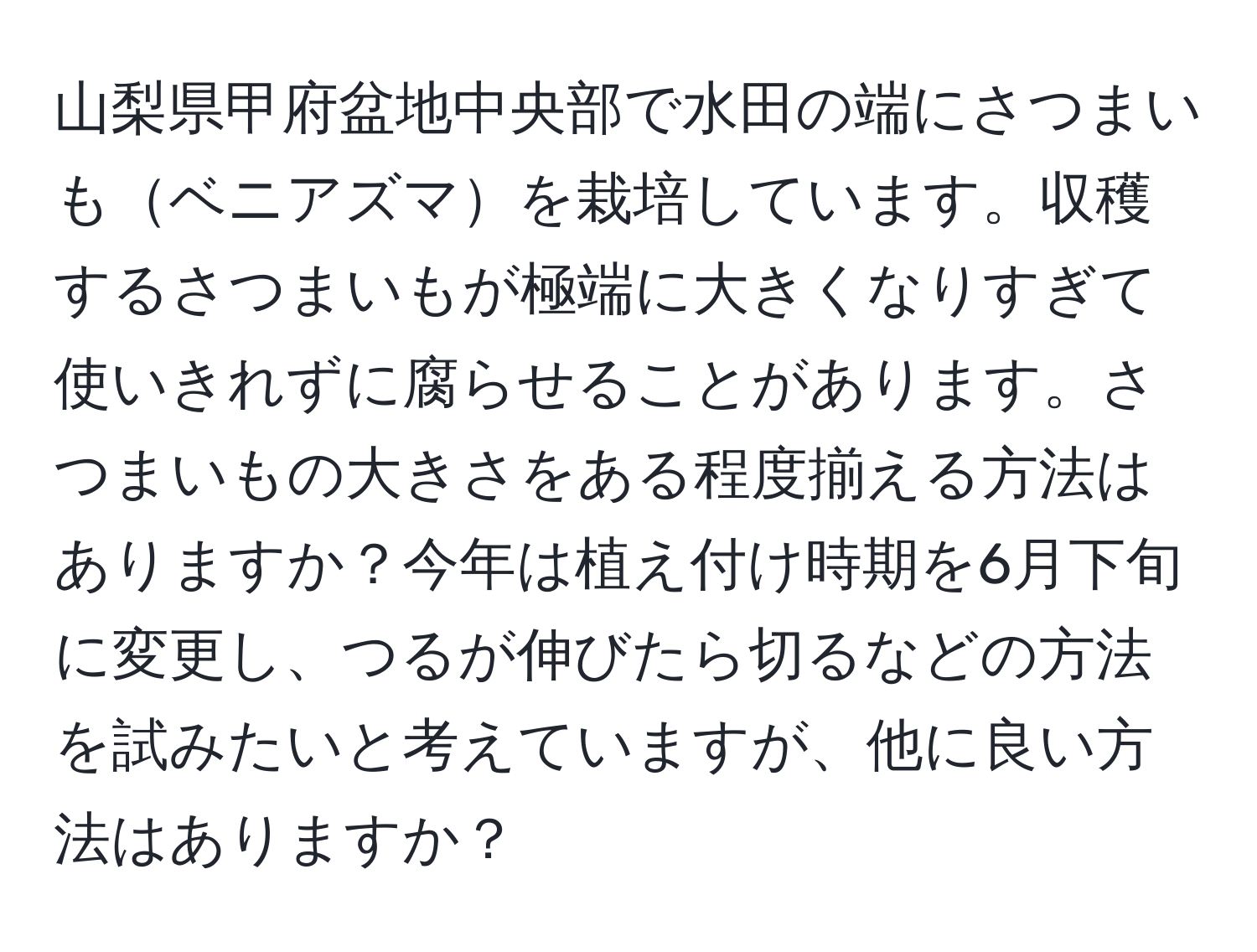 山梨県甲府盆地中央部で水田の端にさつまいもベニアズマを栽培しています。収穫するさつまいもが極端に大きくなりすぎて使いきれずに腐らせることがあります。さつまいもの大きさをある程度揃える方法はありますか？今年は植え付け時期を6月下旬に変更し、つるが伸びたら切るなどの方法を試みたいと考えていますが、他に良い方法はありますか？