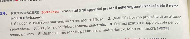 Sézione 
24. RICONOSCERE Sottolinea in rosso tutti gli aggettivi presenti nelle seguenti frasi e in blu il nome 
a cui si riferiscono. 
1. Gli occhi di Bice sono marroni, un colore molto diffuso. 2. Quello fu il primo proiettile di un attacco 
spaventoso. 3. Giorgio ha una tipica cantilena dialettale. 4. Era una scatola troppo piccola per con- 
tenere un libro. 5. Quando a mezzanotte passata sua madre rientrò, Mina era ancora sveglia.