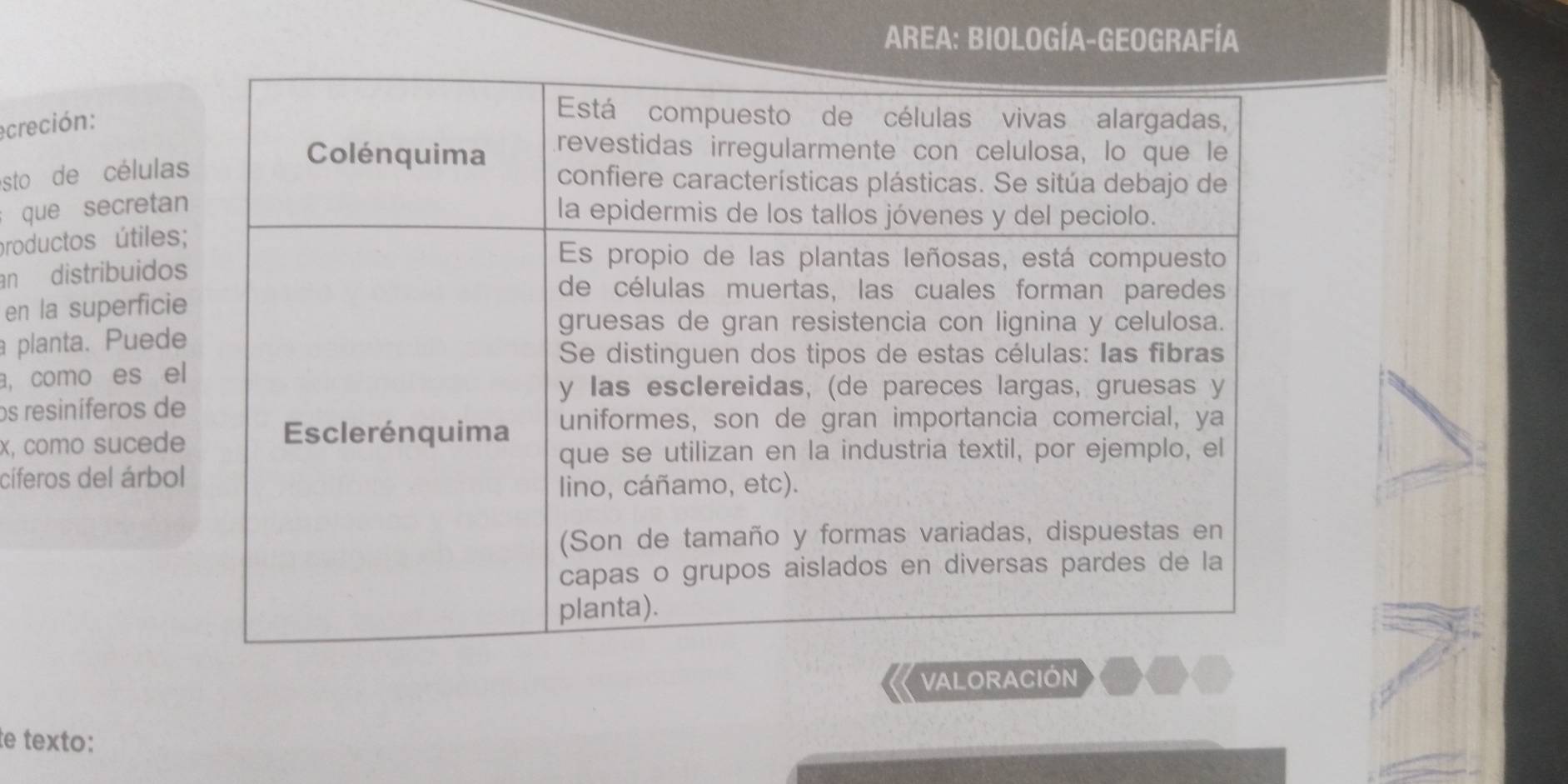 Area: Biología-Geografía 
creción: 
esto de célula 
que secreta 
productos útiles 
an distribuido 
en la superfici 
a planta. Pued 
a, como es e 
os resiníferos d 
x, como suced 
cíferos del árbo 
VALORACIÓN 
te texto: