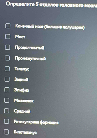 Οпределите 5 оτделов головного мозга
Конечный мозг (большие полушария)
Moct
Πродолговаτωй
Промехуточный
Таламус
Задний
Эπиφиз
Mo3же40k
Средний
Ρетикулярная форнаиия
Гипоталамус