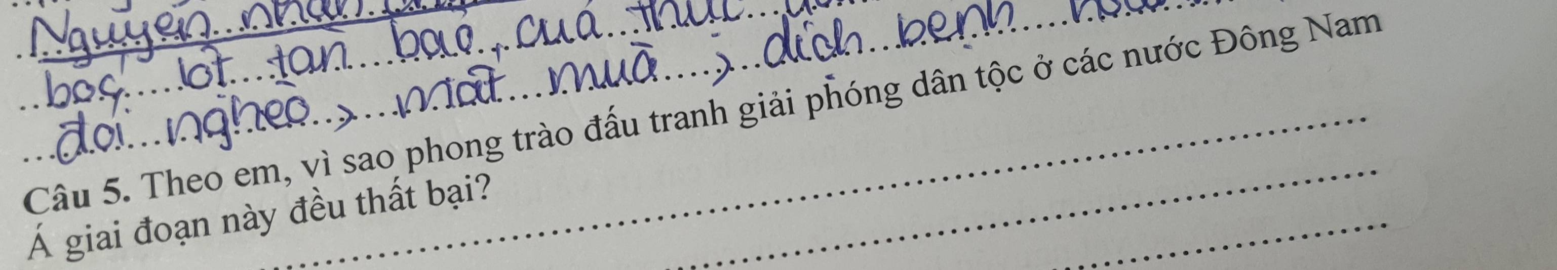 Theo em, vì sao phong trào đấu tranh giải phóng dân tộc ở các nước Đông Nam 
_ 
Á giai đoạn này đều thất bại?