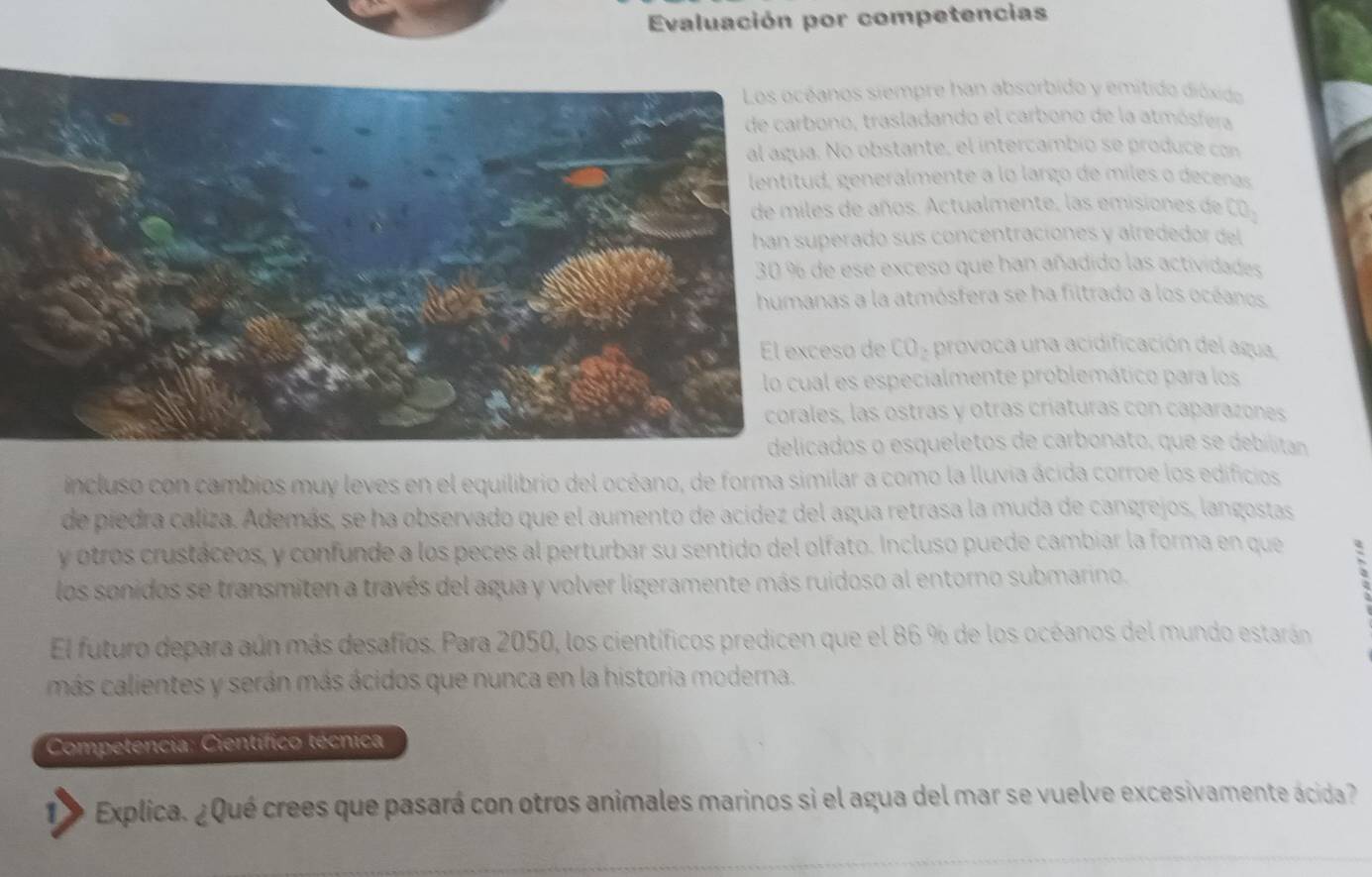 Evaluación por competencias 
os siempre han absorbido y emitido dióxido 
o, trasladando el carbono de la atmósfera 
o obstante, el intercambío se produce con 
generalmente a lo largo de miles o decenas 
de años. Actualmente, las emisiones de CO_2
rado sus concentraciones y alrededor del 
ese exceso que han añadido las actividades 
s a la atmósfera se ha filtrado a los océanos. 
o de CO - provoca una acidificación del agua 
es especialmente problemático para los 
, las ostras y otras críaturas con caparazones 
os o esqueletos de carbonato, que se debilitan 
incluso con cambios muy leves en el equilibrio del océano, de forma similar a como la lluvia ácida corroe los edificios 
de piedra caliza. Además, se ha observado que el aumento de acídez del agua retrasa la muda de cangrejos, langostas 
y otros crustáceos, y confunde a los peces al perturbar su sentido del olfato. Incluso puede cambiar la forma en que S 
los sonidos se transmiten a través del agua y volver ligeramente más ruidoso al entorno submarino. 
El futuro depara aún más desafíos. Para 2050, los científicos predicen que el 86 % de los océanos del mundo estarán 
más calientes y serán más ácidos que nunca en la historia moderna. 
Competencia: Científico técnica 
D Explica. ¿Qué crees que pasará con otros animales marinos si el agua del mar se vuelve excesivamente ácida?