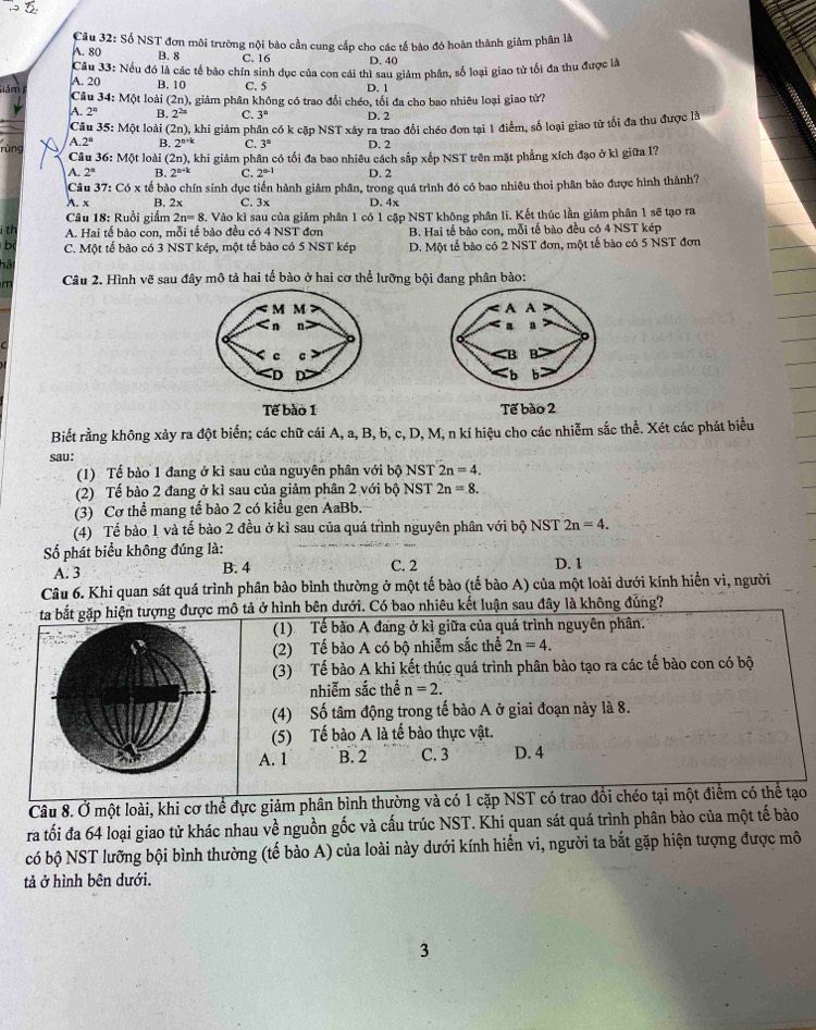 A. 80  Câu 32: Số NST đơn môi trường nội bào cần cung cấp cho các tế bào đó hoàn thành giảm phân là
B. 8 C. 16
Câu 33: D. 40
A. 20 đu đó là các tế bảo chín sinh dục của con cái thì sau giảm phân, số loại giao tử tối đa thu được là
B. 10 C. 5 D. 1
ảm  Cầu 34: Một loài (2n), giảm phân không có trao đổi chéo, tổi đa cho bao nhiêu loại giao tử?
A. 2^n B. 2^(2n) C. 3^n D. 2
Câu 35: Một loài (2n) khi giảm phân có k cặp NST xây ra trao đổi chéo đơn tại 1 điểm, số loại giao tử tổi đa thu được là
A 2° B. 2^(n+k) C. 3^8 D. 2
rùng Câu 6:MOt (2n) , khi giảm phân có tối đa bao nhiêu cách sắp xếp NST trên mặt phẳng xích đạo ở kì giữa I?
t loài
A 2^n B. 2^(a+k) C. 2^(n-1) D. 2
Câu 37:C6x tế bào chín sinh dục tiến hành giảm phân, trong quá trình đó có bao nhiêu thoi phân bào được hình thành?
A. x B. 2x C. 3x D. 4x
Câu 18: Ruồi giấm 2n=8 8. Vào kì sau của giảm phân 1 có 1 cặp NST không phân li. Kết thúc lần giảm phân 1 sẽ tạo ra
i th A. Hai tế bào con, mỗi tế bảo đều có 4 NST đơn B. Hai tế bào con, mỗi tế bào đều có 4 NST kép
b C. Một tế bảo có 3 NST kép, một tế bào có 5 NST kép D. Một tế bào có 2 NST đơn, một tế bào có 5 NST đơn
hải
m Câu 2. Hình vẽ sau đây mô tả hai tế bào ở hai cơ thể lưỡng bội đang phân bào:
 
Tế bào 1 Tế bào 2
Biết rằng không xảy ra đột biến; các chữ cái A, a, B, b, c, D, M, n kí hiệu cho các nhiễm sắc thể. Xét các phát biểu
sau:
(1) Tế bào 1 đang ở kì sau của nguyên phân với bộ NST 2n=4.
(2) Tế bào 2 đang ở kì sau của giảm phân 2 với bộ NST 2n=8.
(3) Cơ thể mang tế bào 2 có kiểu gen AaBb.
(4) Tế bào 1 và tế bào 2 đều ở kì sau của quá trình nguyên phân với bộ NST 2n=4.
Số phát biểu không đúng là:
A. 3 B. 4 C. 2 D. 1
Câu 6. Khi quan sát quá trình phân bảo bình thường ở một tế bào (tế bào A) của một loài dưới kính hiển vi, người
ta bắt gặp hiện tượng được mô tả ở hình bên dưới. Có bao nhiêu kết luận sau đây là không đủng?
(1) Tế bào A đang ở kì giữa của quá trình nguyên phân.
(2) Tế bào A có bộ nhiễm sắc thể 2n=4.
(3) Tế bào A khi kết thúc quá trình phân bào tạo ra các tế bào con có bộ
nhiễm sắc thể n=2.
(4) Số tâm động trong tế bào A ở giai đoạn này là 8.
(5) Tế bào A là tế bào thực vật.
A. 1 B. 2 C. 3 D. 4
Câu 8. Ở một loài, khi cơ thể đực giảm phân bình thường và có 1 cặp NST có trao đổi chéo tại một điểm có thể tạo
ra tối đa 64 loại giao tử khác nhau về nguồn gốc và cấu trúc NST. Khi quan sát quá trình phân bào của một tế bào
có bộ NST lưỡng bội bình thường (tế bào A) của loài này dưới kính hiển vi, người ta bắt gặp hiện tượng được mô
tả ở hình bên dưới.
3