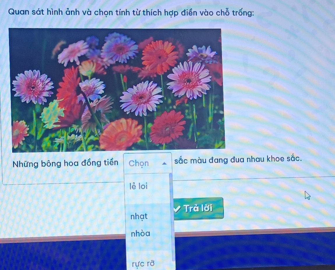 Quan sát hình ảnh và chọn tính từ thích hợp điền vào chỗ trống:
Những bông hoa đồng tiền Chọn sắc màu đang đua nhau khoe sắc.
lẻ loi
Trả lời
nhạt
nhòa
rực rỡ