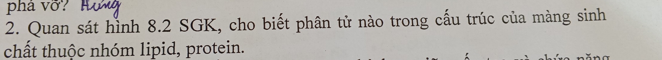 phá vỡ? 
2. Quan sát hình 8.2 SGK, cho biết phân tử nào trong cấu trúc của màng sinh 
chất thuộc nhóm lipid, protein.