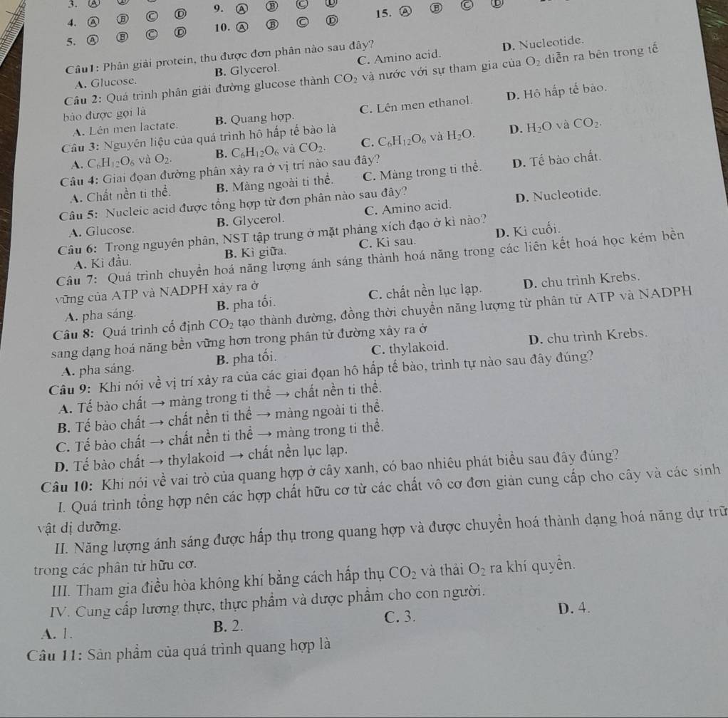 Ⓐ C 15. A
10.
5. ④ ⑧ C ⑬
Câu1: Phân giải protein, thu được đơn phân nào sau đây?
D. Nucleotide.
A. Glucose. B. Glycerol. C. Amino acid.
Cầu 2: Quá trình phân giải đường glucose thành CO_2 và nước với sự tham gia của O_2 diễn ra bên trong tế
C. Lên men ethanol. D. Hô hấp tế bào.
bào được gọi là B. Quang hợp. và CO_2.
A. Lên men lactate.
Câu 3: Nguyên liệu của quá trình hô hấp tế bào là
và
A. C_6H_12O_6 và O_2. B. C_6H_12O_6 và CO_2. C. C_6H_12O_6 H_2O.
D. H_2O
Câu 4: Giai đọan đường phân xảy ra ở vị trí nào sau đây?
A. Chất nền ti thể. B. Màng ngoài ti thể. C. Màng trong ti thể. D. Tế bào chất.
Câu 5: Nucleic acid được tổng hợp từ đơn phân nào sau đây?
D. Nucleotide.
A. Glucose. B. Glycerol. C. Amino acid.
Câu 6: Trong nguyên phân, NST tập trung ở mặt phảng xích đạo ở kì nào?
A. Kì đầu. B. Kì giữa. C. Kì sau. D. Ki cuối.
Câu 7: Quá trình chuyển hoá năng lượng ánh sáng thành hoá năng trong các liên kết hoá học kém bền
vững của ATP và NADPH xảy ra ở
A. pha sáng. B. pha tối. C. chất nền lục lạp. D. chu trình Krebs.
Câu 8: Quá trình cố định CO_2 tạo thành đường, đồng thời chuyển năng lượng từ phân tử ATP và NADPH
sang dạng hoá năng bền vững hơn trong phân tử đường xảy ra ở
A. pha sáng. B. pha tối. C. thylakoid. D. chu trình Krebs.
Câu 9: Khi nói về vị trí xảy ra của các giai đọan hô hấp tế bào, trình tự nào sau đây đúng?
A. Tế bào chất → màng trong ti thể → chất nền ti thể.
B. Tế bào chất → chất nền ti thể → màng ngoài ti thể.
C. Tế bào chất → chất nền ti thể → màng trong ti thể.
D. Tế bào chất → thylakoid → chất nền lục lạp.
Câu 10: Khi nói về vai trò của quang hợp ở cây xanh, có bao nhiêu phát biều sau đây đúng?
I. Quá trình tổng hợp nên các hợp chất hữu cơ từ các chất vô cơ đơn giản cung cấp cho cây và các sinh
vật dị dưỡng.
II. Năng lượng ánh sáng được hấp thụ trong quang hợp và được chuyền hoá thành dạng hoá năng dự trữ
trong các phân tử hữu cơ.
IIII. Tham gia điều hòa không khí bằng cách hấp thụ CO_2 và thái O_2 ra khí quyền.
IV. Cung cấp lương thực, thực phẩm và dược phẩm cho con người.
A. 1. B. 2. C. 3.
D. 4.
Câu 11: Sản phẩm của quá trình quang hợp là