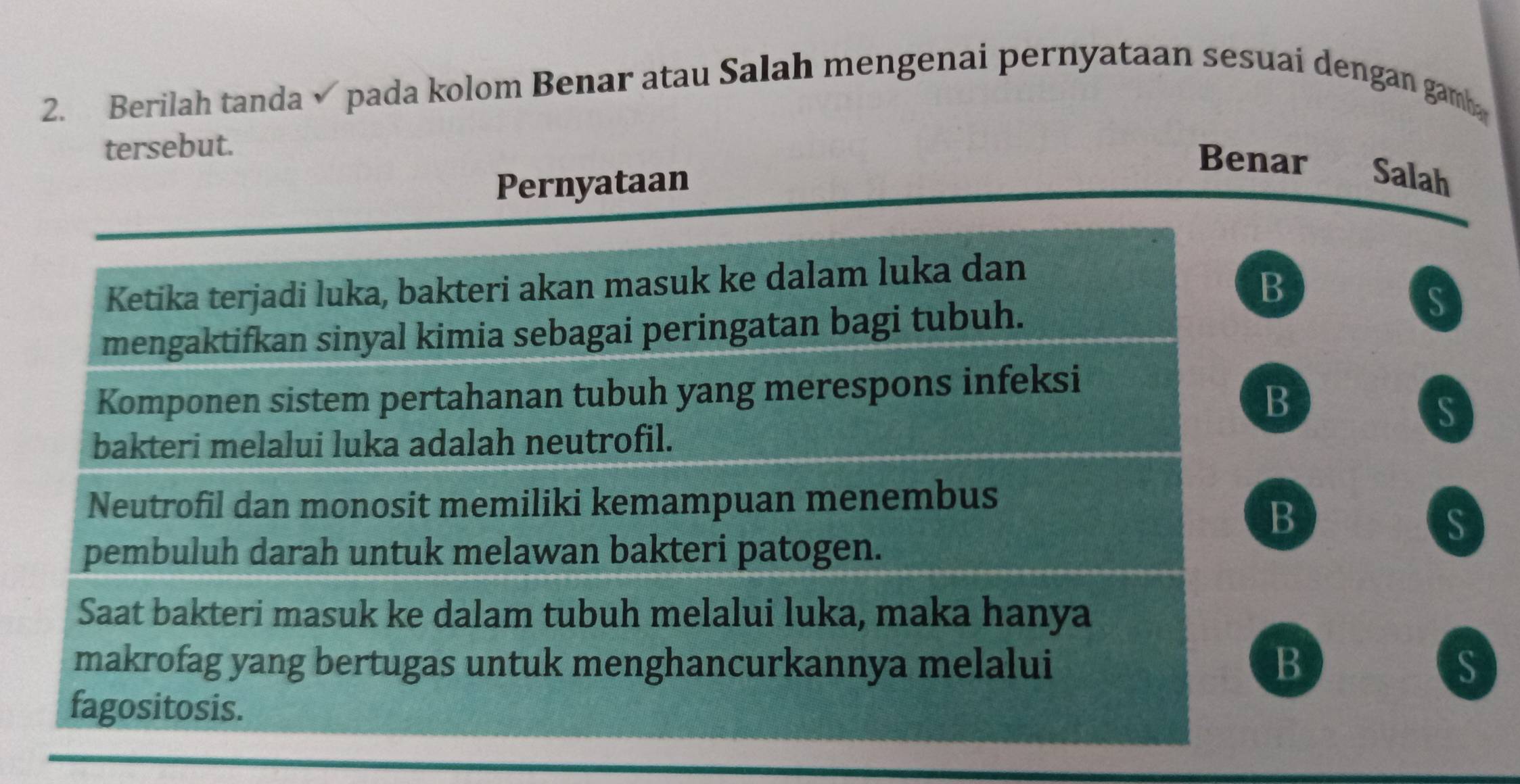 Berilah tanda√ pada kolom Benar atau Salah mengenai pernyataan sesuai dengan gamb
tersebut.
Pernyataan
Benar Salah
Ketika terjadi luka, bakteri akan masuk ke dalam luka dan
B
mengaktifkan sinyal kimia sebagai peringatan bagi tubuh.
S
Komponen sistem pertahanan tubuh yang merespons infeksi
B
S
bakteri melalui luka adalah neutrofil.
Neutrofil dan monosit memiliki kemampuan menembus
B
S
pembuluh darah untuk melawan bakteri patogen.
Saat bakteri masuk ke dalam tubuh melalui luka, maka hanya
makrofag yang bertugas untuk menghancurkannya melalui B S
fagositosis.