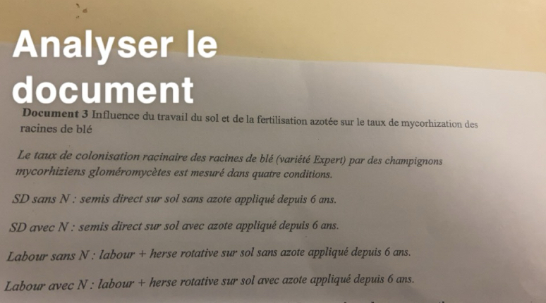 Analyser le
document
Document 3 Influence du travail du sol et de la fertilisation azotée sur le taux de mycorhization des
racines de blé
Le taux de colonisation racinaire des racines de blé (variété Expert) par des champignons
mycorhiziens gloméromycètes est mesuré dans quatre conditions.
SD sans N : semis direct sur sol sans azote appliqué depuis 6 ans.
SD avec N : semis direct sur sol avec azote appliqué depuis 6 ans.
Labour sans N : labour + herse rotative sur sol sans azote appliqué depuis 6 ans.
Labour avec N : labour + herse rotative sur sol avec azote appliqué depuis 6 ans.