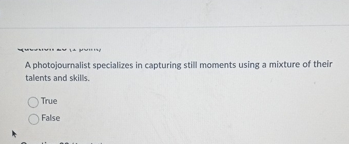 A photojournalist specializes in capturing still moments using a mixture of their
talents and skills.
True
False