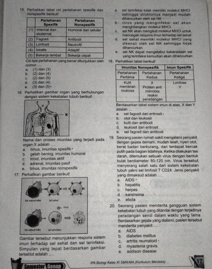 Perhatikan tabel ciri pertahanan spesifik dan. sel terinfeksi tidak memiliki molekul MHCI
nonspesifik berikut! sehingga strukturnya menjadi mudah 
dihancurkan oleh sel NK
b. virus yang menginfeksi sel akan 
menghifangkan molekul MHCI
c. sel NK akan mengikat molekul MHCI untuk
mencegah respons imun terhadap sel sehat
d. sel sehat memiliki molekul MHCI yang
dihancurkan dikenali oleh sel NK sehingga tidak
e sel NK dapat mengetahui keberadaan sel
yang terinfeksi kemudian akan dihancurkan
Ciri tipe pertahanan yang benar ditunjukkan oleh 18. Perhatikan tabel berikut!
nomor ....
a. (1) dan (3)
b. (2) dan (4)
c. (2) dan (5)
d. (3) dan (4)
e. (3) dan (5)· 
16. Perhatikan gambar organ yang berhubungan
dengan sistem kekebalan tubuh berikut!
Berdasarkan tabel sistem imun dí atas, X dan Y
adaiah ..
a. sel fagosit dan eritrosit
b. otot dan leukosit
c. kulit dan antibod
d. leukosit dan eritrosit
e. sel fagosit dan antibodi
Nama dan proses imunitas yang terjadi pada 19. Seorang pasien rumah sakit mengalami penyakit
organ X adalah …. dengan gejala demam, mudah lelah, nyeri otot,
a. timus, imunitas spesifik berat badan berkurang, dan terdapat bercak
putih pada bagian lidahnya. Ketika dilakukan tes
b. getah bening, imunitas humoral darah, ditemukan sebuah virus dengan bentuk
c. tiroid, imunitas aktif
d. adrenal, imunitas pasif bulat berdiameter 80-120 nm. Virus tersebut
e. timus, imunitas nonspesifik menyerang salah satu dari sistem kekebalan
tubuh yakni sel limfosit T CD24. Jenis penyakit
17. Perhatikan gambar berikut! yang dimaksud adalah ....
a. AlDS
b. hepatitis
c. herpes
d. karsinoma
e. ebola
20. Seorang pasien menderita gangguan sistem
kekebalan tubuh yang ditandai dengan terjadinya
peradangan sendi dalam waktu yang lama.
Berdasarkan gejala yang dialami, pasien tersebut
menderita penyakit ....
a AlDS
Gambar tersebut menunjukkan respons sistem b. diabetes melitus
imun terhadap sel sehat dan sel terinfeksi. c. artritis reumatoid
Simpulan yang tepat berdasarkan gambar d. myastenia gravis
tersebut adalah .... e. addison disease
Semestor Genan IPA Biologi Kelas XI SMA/MA (Kurikulum Merdeka) 17