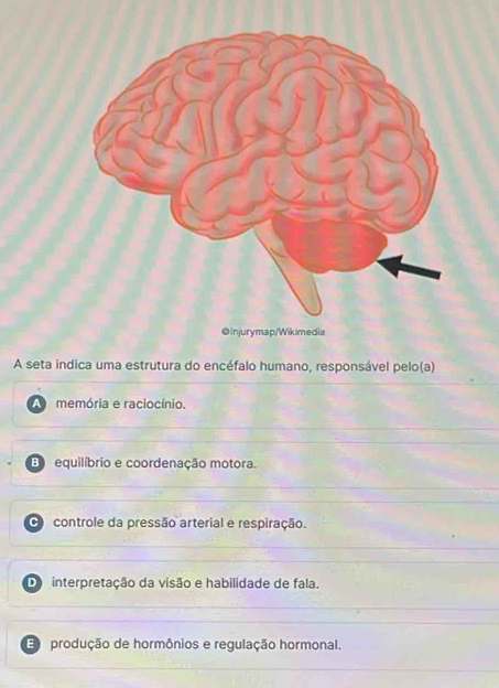 ◎Injurymap/Wikimedi
A seta indica uma estrutura do encéfalo humano, responsável pelo(a)
A memória e raciocínio.
E equilíbrio e coordenação motora.
CT controle da pressão arterial e respiração.
D interpretação da visão e habilidade de fala.
E produção de hormônios e regulação hormonal.