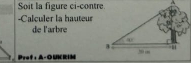 Soit la figure ci-contre.
-Calculer la hauteur
de l'arbre
Prof:A-OUKRIM