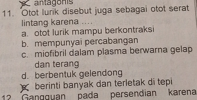 antagonis
11. Otot lurik disebut juga sebagai otot serat
lintang karena ....
a. otot lurik mampu berkontraksi
b. mempunyai percabangan
c. miofibril dalam plasma berwarna gelap
dan terang
d. berbentuk gelendong
berinti banyak dan terletak di tepi
12 Gangquan pada persendian karena