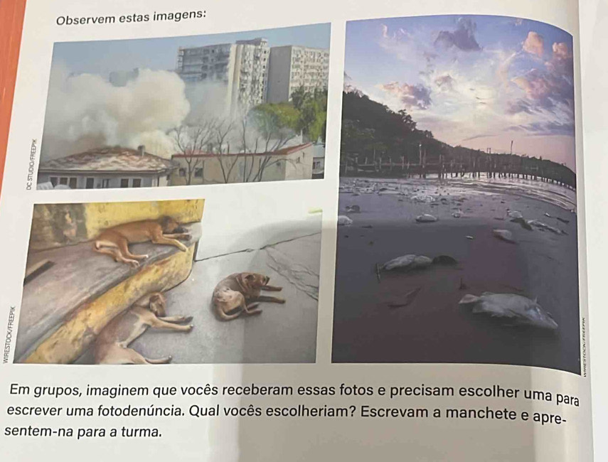 Observem estas imagens: 
8 
Em grupos, imaginem que vocês receberam essas fotos e precisam escolher uma para 
escrever uma fotodenúncia. Qual vocês escolheriam? Escrevam a manchete e apre- 
sentem-na para a turma.