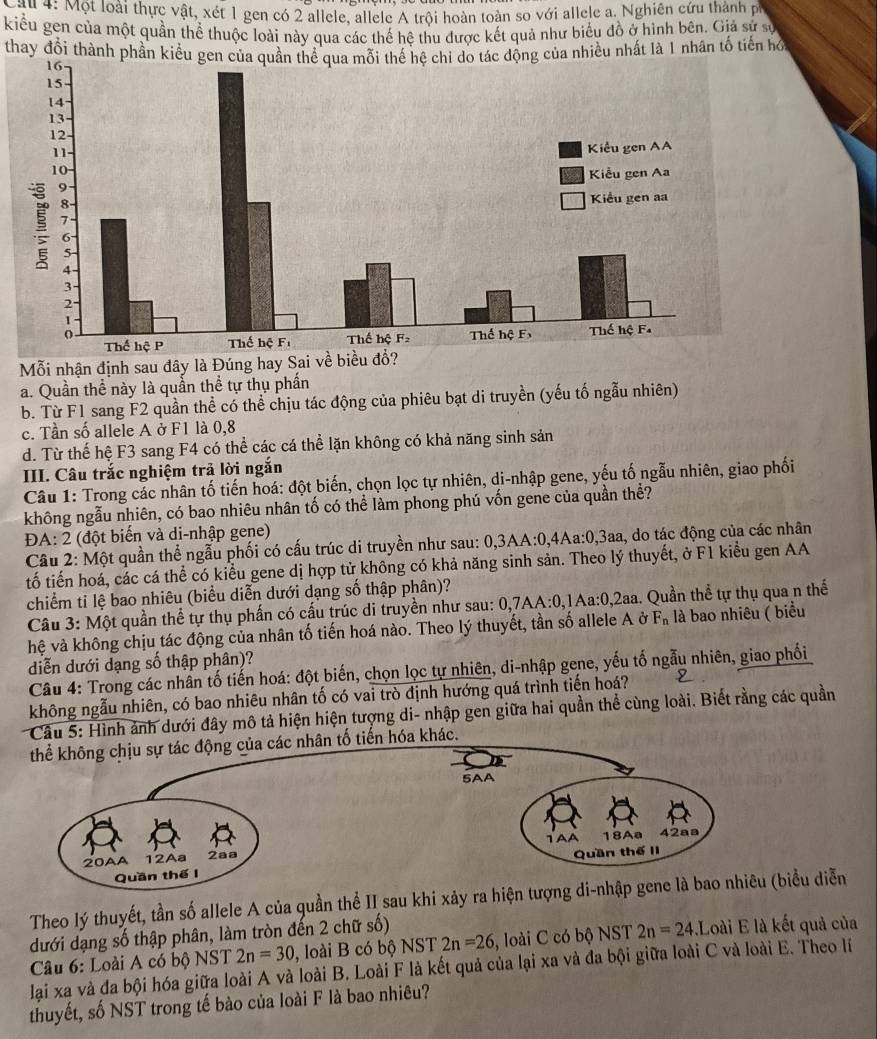 au 4: Một loài thực vật, xét 1 gen có 2 allele, allele A trội hoàn toàn so với allele a. Nghiên cứu thành ph
kiểu gen của một quần thể thuộc loài này qua các thế hê thu được kết quả như biểu đồ ở hình bên. Giả sử sự
thay đổi thành phần kiểu gen của quần thể qua mỗi thế hệ chi do tác động của nhiều nhất là 1 nhân tố tiến hó
Mỗi nhận định sau đây là Đúng hay Sai về biểu đổ?
a. Quần thể này là quần thể tự thụ phần
b. Từ F1 sang F2 quần thể có thể chịu tác động của phiêu bạt di truyền (yếu tố ngẫu nhiên)
c. Tần số allele A ở F1 là 0,8
d. Từ thế hệ F3 sang F4 có thể các cá thể lặn không có khả năng sinh sản
III. Câu trắc nghiệm trả lời ngắn
Câu 1: Trong các nhân tố tiến hoá: đột biến, chọn lọc tự nhiên, di-nhập gene, yếu tố ngẫu nhiên, giao phối
không ngẫu nhiên, có bao nhiêu nhân tố có thể làm phong phú vốn gene của quần thể?
ĐA: 2 (đột biến và di-nhập gene)
Câu 2: Một quần thể ngẫu phối có cấu trúc di truyền như sau: 0,3AA:0,4Aa:0,3aa, do tác động của các nhân
tố tiến hoá, các cá thể có kiểu gene dị hợp tử không có khả năng sinh sản. Theo lý thuyết, ở F1 kiểu gen AA
chiểm tỉ lệ bao nhiêu (biểu diễn dưới dạng số thập phân)?
Câu 3: Một quần thể tự thụ phấn có cấu trúc di truyền như sau: 0,7AA°C ),1A a:0,2aa 1. Quần thể tự thụ qua n thế
hệ và không chịu tác động của nhân tố tiến hoá nào. Theo lý thuyết, tần số allele A ở F_n là bao nhiêu ( biểu
diễn dưới dạng số thập phân)?
Câu 4: Trong các nhân tố tiến hoá: đột biến, chọn lọc tự nhiên, di-nhập gene, yếu tố ngẫu nhiên, giao phối
không ngẫu nhiên, có bao nhiêu nhân tố có vai trò định hướng quá trình tiến hoá?
Câu 5: Hình ảnh dưới đây mô tả hiện hiện tượng di- nhập gen giữa hai quần thể cùng loài. Biết rằng các quần
hóa khác.
Theo lý thuyết, tần số allele A của quần thể II sau khi xảy ra hiện tượng di-nhập geiểu diễn
dưới dạng số thập phân, làm tròn đến 2 chữ số) Loài E là kết quả của
Câu 6: Loài A có bộ NST 2n=30 , loài B có bộ NST 2n=26 , loài C có bộ NST 2n=24.L
lại xa và đa bội hóa giữa loài A và loài B. Loài F là kết quả của lại xa và đa bội giữa loài C và loài E. Theo lí
thuyết, số NST trong tế bào của loài F là bao nhiêu?