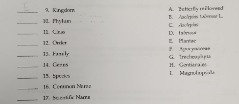 Kingdom A. Butterfly milkweed
B. Asclepías tuberose L.
_10. Phylum C. Asclepias
_11. Class D. tuberosa
_12. Order E. Plantae
F Apocynaceae
_13. Family G. Tracheophyta
_14. Genus H. Gentianales
_ 15. Species I. Magnoliopsida
_
16. Common Name
_
17. Scientific Name