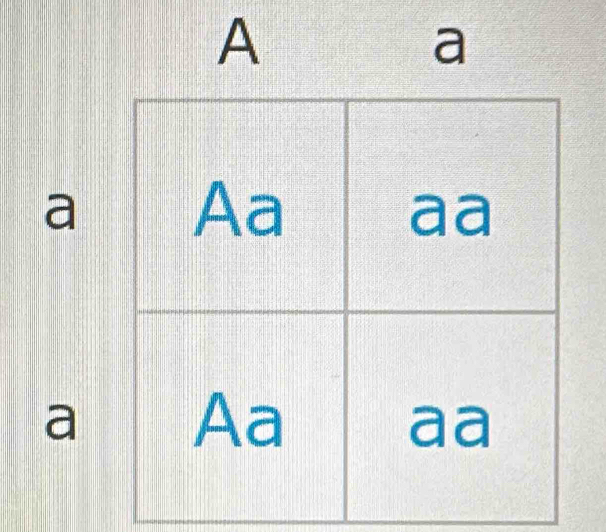 A
a
a
a