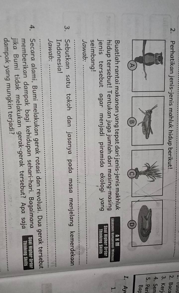 Perhatikan jenis-jenis mahluk hidup berikut! 2. Baca 
3. Kerj 
4. Sem 
5. Peri 
Bap 
a 
D 
I. y 
Buatlah rantai makanan yang tepat dari jenis-jenis makhluk AKM 
hidup tersebut! Tentukan juga jumlah dari masing-masing (Asesmen Kompetensi M 
1. 
jenis tersebut agar menjadi piramida ekologi yang Soal Higher Order Thinking Skills 
seimbang! 
_ 
Jawab: 
_ 
3. Sebutkan satu tokoh dan jasanya pada masa menjelang kemerdekaan 
Indonesia! 
Jawab: 
_ 
4. Secara alami, Bumi melakukan gerak rotasi dan revolusi. Dua gerak tersebut 
memberikan dampak bagi kehidupan sehari-hari. Bagaimana Soal Higher Order 
jika Bumi tidak melakukan gerak-gerak tersebut? Apa saja Thinking Skills 
dampak yang mungkin terjadi?_