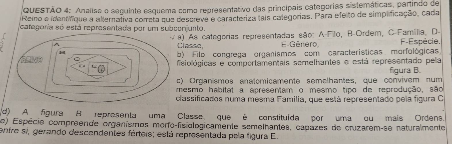 Analise o seguinte esquema como representativo das principais categorias sistemáticas, partindo de 
Reino e identifique a alternativa correta que descreve e caracteriza tais categorias. Para efeito de simplificação, cada 
categoria só está representada por um subconjunto. 
a) As categorias representadas são: A-Filo, B-Ordem, C-Família, D- 
Classe, E-Gênero, F-Espécie. 
b) Filo congrega organismos com características morfológicas, 
isiológicas e comportamentais semelhantes e está representado pela 
figura B. 
) Organismos anatomicamente semelhantes, que convivem num 
mesmo habitat a apresentam o mesmo tipo de reprodução, são 
lassificados numa mesma Família, que está representado pela figura C 
d) A figura B representa uma Classe, que é constituída por uma ou mais Ordens. 
e) Espécie compreende organismos morfo-fisiologicamente semelhantes, capazes de cruzarem-se naturalmente 
entre si, gerando descendentes férteis; está representada pela figura E.