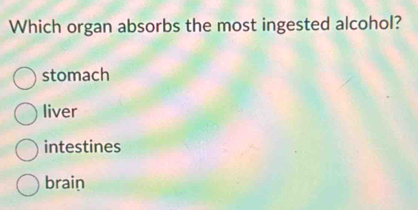 Which organ absorbs the most ingested alcohol?
stomach
liver
intestines
brain