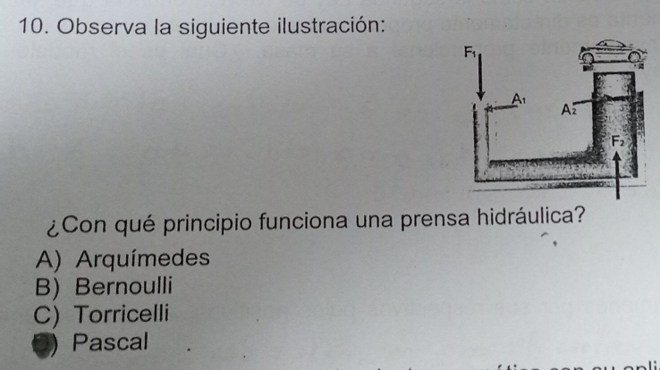 Observa la siguiente ilustración:
¿Con qué principio funciona una prensa hidráulica?
A) Arquímedes
B) Bernoulli
C) Torricelli
Pascal