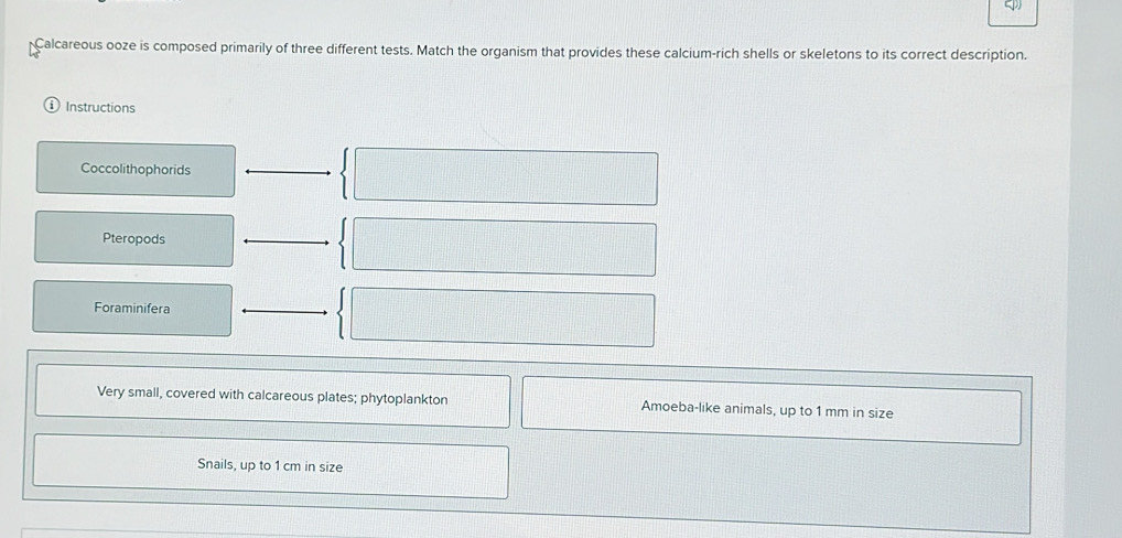 Calcareous ooze is composed primarily of three different tests. Match the organism that provides these calcium-rich shells or skeletons to its correct description. 
Instructions 
Coccolithophorids 
Pteropods 
Foraminifera 
Very small, covered with calcareous plates; phytoplankton Amoeba-like animals, up to 1 mm in size 
Snails, up to 1 cm in size