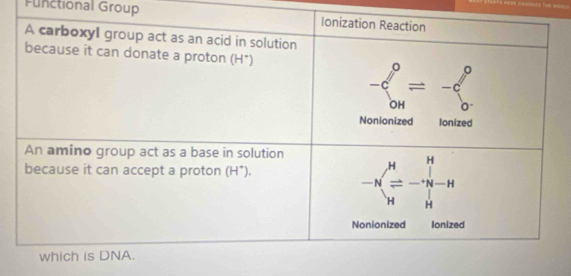 Functional Group