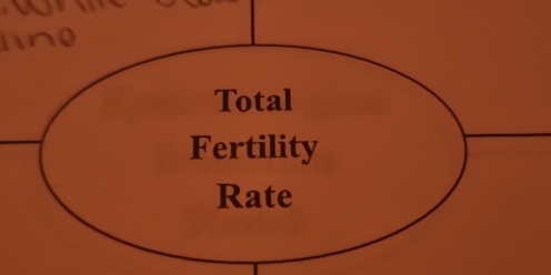 ine 
Total 
Fertility 
Rate