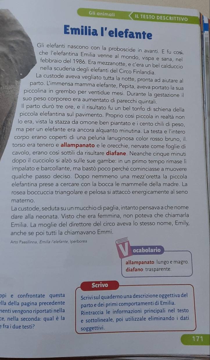 Gli animali IL TESTO DESCRITTIVO
Emilia l’elefante
Gli elefanti nascono con la proboscide in avanti. E fu cos
che l’elefantina Emilia venne al mondo, vispa e sana, nel
febbraio del 1986. Era mezzanotte, e c’era un bel calduccio
nella scuderia degli elefanti del Circo Finlandia.
La custode aveva vegliato tutta la notte, pronta ad aiutare al
parto. L’immensa mamma elefante, Pepita, aveva portato la sua
piccolina in grembo per ventidue mesi. Durante la gestazione il
suo peso corporeo era aumentato di parecchi quintali.
Il parto durò tre ore, e il risultato fu un bel tonfo di schiena della
piccola elefantina sul pavimento. Proprio così piccola in realtà non
lo era, vista la stazza da omone ben piantato e i cento chili di peso,
ma per un elefante era ancora alquanto minutina. La testa e l'intero
corpo erano coperti di una peluria lanuginosa color rosso bruno, il.
torso era tenero e allampanato e le orecchie, nervate come foglie di
cavolo, erano così sottili da risultare diafane. Neanche cinque minuti
dopo il cucciolo si alzò sulle sue gambe: in un primo tempo rimase lì
impalato e barcollante, ma bastò poco perché cominciasse a muovere
qualche passo deciso. Dopo nemmeno una mezz'oretta la piccola
elefantina prese a cercare con la bocca le mammelle della madre. La
rosea boccuccia triangolare e pelosa si attaccò energicamente al seno
materno.
La custode, seduta su un mucchio di paglia, intanto pensava a che nome
dare alla neonata. Visto che era femmina, non poteva che chiamarla
Emilia. La moglie del direttore del circo aveva lo stesso nome, Emily,
anche se poi tutti la chiamavano Emmi.
Arto Paasilinna, Emilia l’elefante, Iperborea
ocabolario
allampanato: lungo e magro.
diafano: trasparente.
Scrivo
opi e confrontate questa Scrivi sul quaderno una descrizione oggettiva del
ella della pagina precedente parto e dei primi comportamenti di Emilia.
nenti vengono riportati nella Rintraccia le informazioni principali nel testo
ce, nella seconda: qual è la e sottolineale, poi utilizzale eliminando i dati
e fra i due testi?
soggettivi.
171