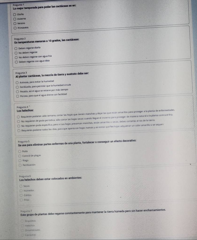 Pregunta 1
La mejor temporada para podar las cactáceas es en:
Otoño
Invierno
Verano
Primavera
Pregunta 2
En temperaturas menoras a 10 grados, las cactáceas:
Deben regarse diario
No deben regarse
No deben regarse con agua fría
Deben regarse con agua tibia
Pregunta 3
Al plantar cactáceas, la mezcia de tierra y sustrato debe ser:
Arenosa, para evitar la humedad
Fertilizada, para permitir que la humedad circule
Pesada, así el agua se retiene por más tiempo
Porosa, para que el agua drene con facilidad
Pregunta 4 
Los helechos:
Requieren podarse cada semana, cortar las hojas que tienen manchas y dejar las que están amarillas para proteger a la planta de enfermedades.
No requieren de poda periódica, sólo cortar las hojas secas cuando llegue el inviero para proteger de manera natural a la planta contra el frio.
No requieren poda específica, pero si sus hojas presentán manchas, están amarillas o secas, debes cortarlas al ras de la tierra
Requieren podarse todos los días, para que aparezcán hojas nuevas y así evitar que l hojas adquieran un color amarillo o se sequen
Pregunta 5
Se usa para eliminar partes enfermas de una planta, fortalecer o conseguir un efecto decorativo:
Poda
Control de plagas
Riego
Fertilización
Pregunia 6
Los helechos deben estar colocados en ambientes:
Secos
Múmedos
Calidos
Frius
Pregunta 7
Este grupo de plantas debe regarse constantemente para mantener la tierra húmeda pero sin hacer encharcamientos.
Orquideas
Helle rhors
Dnantiertale
Cactaceas