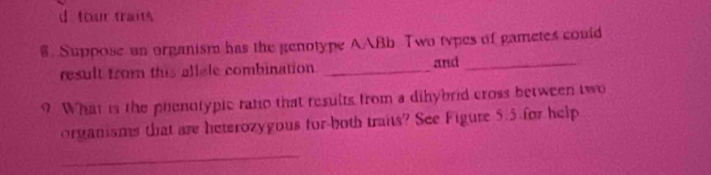 tour trans 
8. Suppose an organism has the genotype AABb. Two types of gametes could 
result from this allele combination _and_ 
9 What is the phenotypic ratio that results from a dihybrid cross between two 
organisms that are heterozygous for-both traits? See Figure 5.5 for help 
_