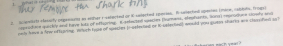 What is causing shan 
2. Scientists classify organisms as either r-selected or K -selected species. R-selected species (mice, rabbits, frogs) 
reproduce quickly and have lots of offspring. K -selected species (humans, elephants, lions) reproduce slowly and 
only have a few offspring. Which type of species (r-selected or K-selected) would you guess sharks are classified as? 
es each year?