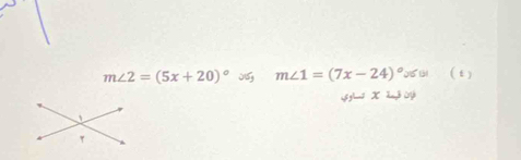 m∠ 2=(5x+20)^circ 