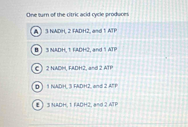 One turn of the citric acid cycle produces
A 3 NADH, 2 FADH2, and 1 ATP
B  3 NADH, 1 FADH2, and 1 ATP
C  2 NADH, FADH2, and 2 ATP
D  1 NADH, 3 FADH2, and 2 ATP
E  3 NADH, 1 FADH2, and 2 ATP