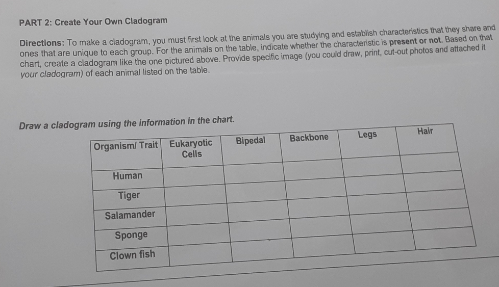 Create Your Own Cladogram 
Directions: To make a cladogram, you must first look at the animals you are studying and establish characteristics that they share and 
ones that are unique to each group. For the animals on the table, indicate whether the characteristic is present or not. Based on that 
chart, create a cladogram like the one pictured above. Provide specific image (you could draw, print, cut-out photos and attached it 
your cladogram) of each animal listed on the table. 
Draw a clhart.