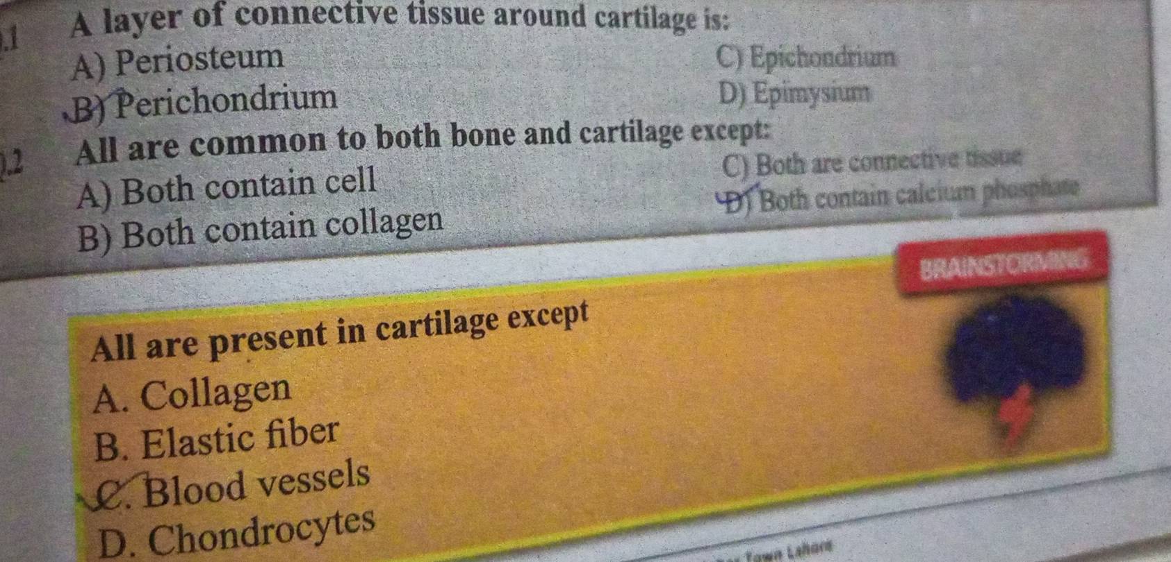 A layer of connective tissue around cartilage is:
A) Periosteum C) Epichondrium
B) Perichondrium D) Epimysium
.2 All are common to both bone and cartilage except:
A) Both contain cell C) Both are connective tissue
B) Both contain collagen D) Both contain calcium phosphate
BRAINSTORMING
All are present in cartilage except
A. Collagen
B. Elastic fiber
C. Blood vessels
D. Chondrocytes
Tawn Lahors