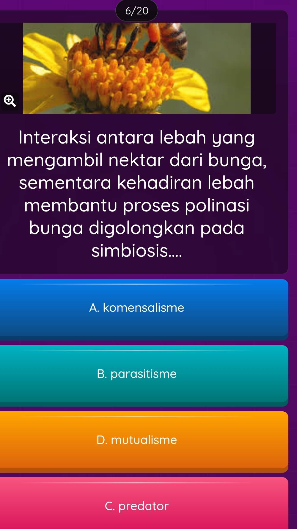 6/20
Interaksi antara lebah yang
mengambil nektar dari bunga,
sementara kehadiran lebah
membantu proses polinasi
bunga digolongkan pada
simbiosis....
A. komensalisme
B. parasitisme
D. mutualisme
C. predator