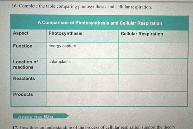 Complete the table comparing photosynthesis and cellular respiration. 
Apply the Big 
17. How does an understanding of the process of cellular respiration support the theory