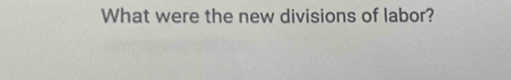 What were the new divisions of labor?