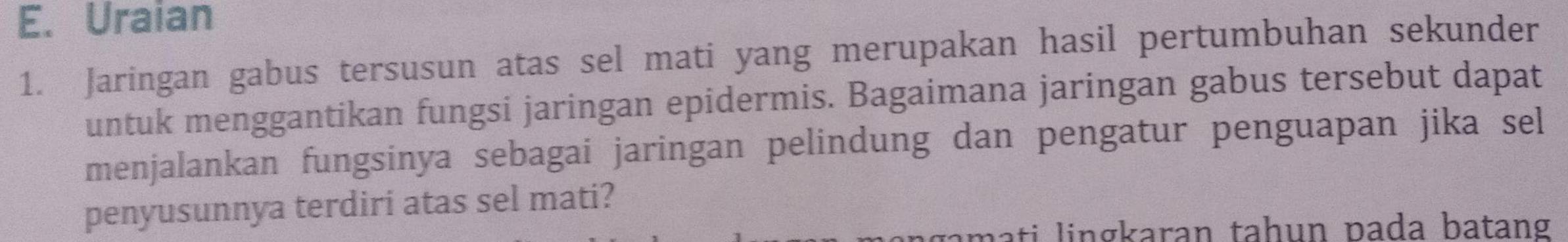 Uraian 
1. Jaringan gabus tersusun atas sel mati yang merupakan hasil pertumbuhan sekunder 
untuk menggantikan fungsi jaringan epidermis. Bagaimana jaringan gabus tersebut dapat 
menjalankan fungsinya sebagai jaringan pelindung dan pengatur penguapan jika sel 
penyusunnya terdiri atas sel mati? 
gamati lingkaran tahun pada batang