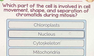 Which part of the cell is involved in cell
movement, shape, and separation of
chromatids during mitosis?
Chloroplasts
Nucleus
Cytoskeleton
Mitochondria